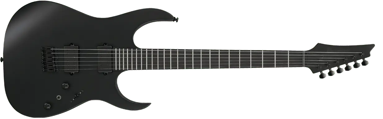 RG Iron Label 黑色電吉他